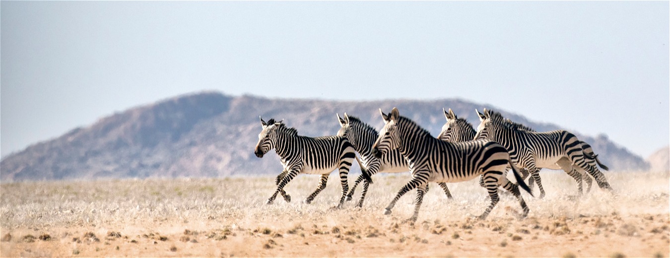 15 tendências de viagem